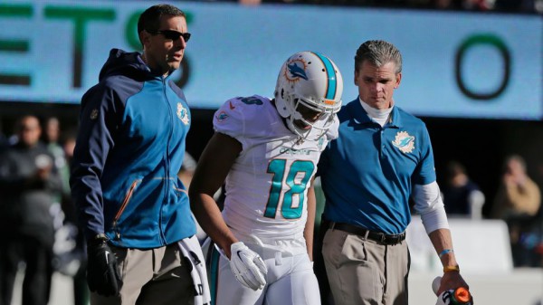 nfl-dolphins-mathews