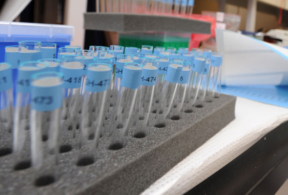 hgh-test-tubes