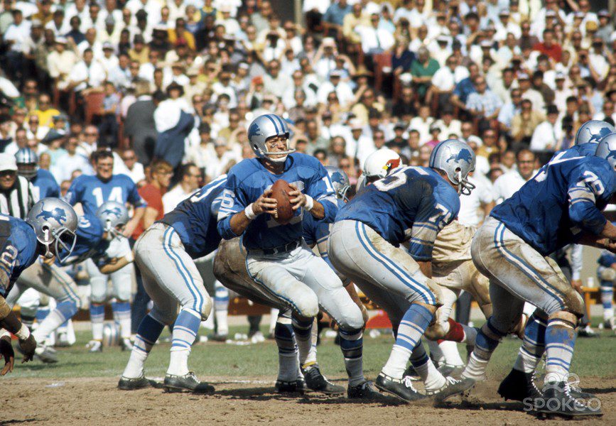 lions-cards