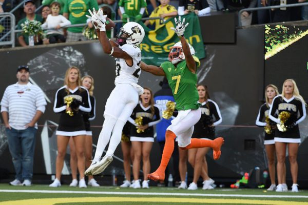 ducks-colorado