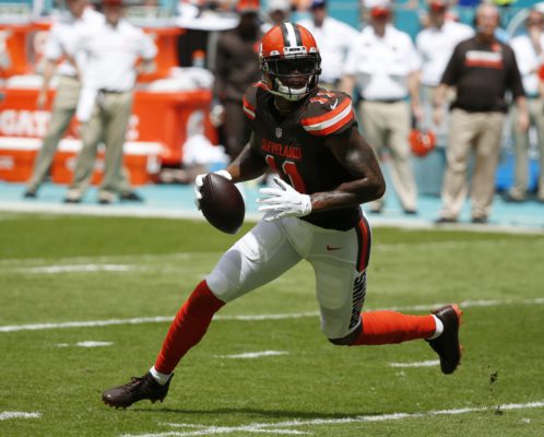 browns_dolphins_football-00840