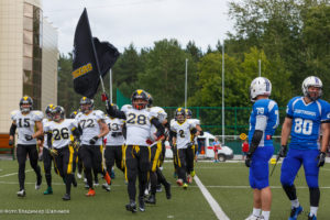 молнии стальные тигры