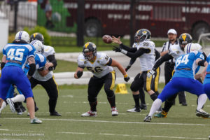 молнии стальные тигры