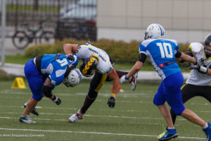 молнии стальные тигры