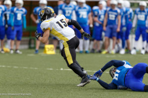 молнии стальные тигры