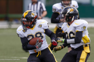 молнии стальные тигры