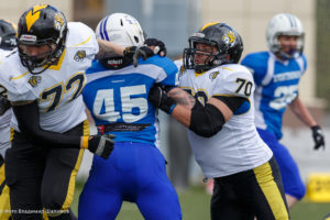 молнии стальные тигры