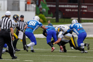 молнии стальные тигры