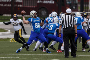 молнии стальные тигры