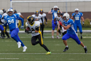 молнии стальные тигры