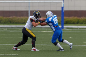 молнии стальные тигры