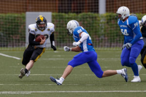 молнии стальные тигры