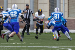 молнии стальные тигры