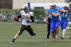 молнии стальные тигры