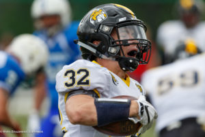 молнии стальные тигры