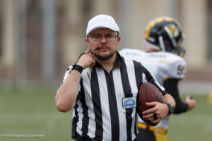 молнии стальные тигры