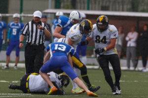 молнии стальные тигры