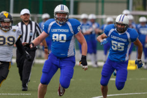 молнии стальные тигры