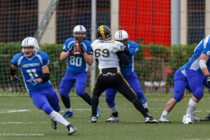 молнии стальные тигры