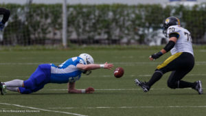 молнии стальные тигры