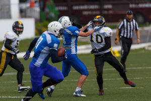 молнии стальные тигры