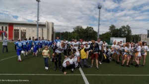 молнии стальные тигры