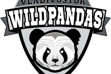 Wild Pandas